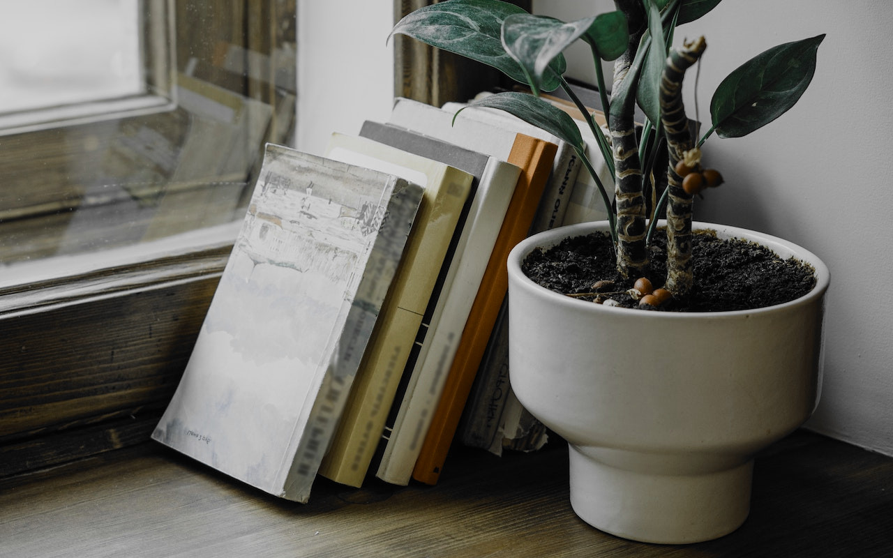 Why Paper Books Do Not Lose Relevance Despite The Emergence Of why-paper-books-do-not-lose-relevance-despite-the-emergence-of